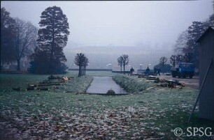 Potsdam, Park Sanssouci, Bullenwiese, Fällung der Kastanien an den Stichgräben.