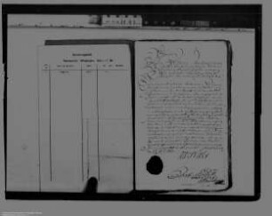 Huldigung gegenüber Fürst Heinrich Kasimir von Nassau-Diez und seiner Mutter Albertine Agnes von Oranien-Nassau