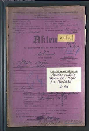 Aufruhr (Zugehörigkeit zur "Roten Armee" oder zur "Roten Garde") Schlüter, Wilhelm