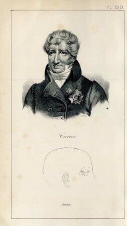Cuvier. Ordre