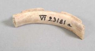 Fragment eines Armrings
