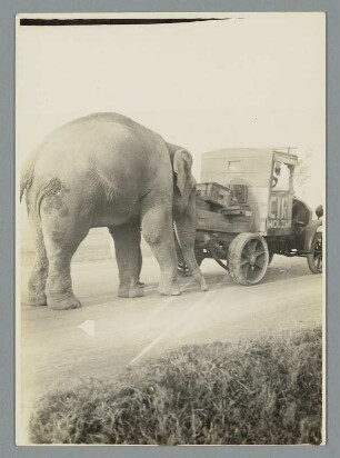 Ein guter Helfer in der Not ist der Zirkus Elefant wenn mal der Motor streikt : Circus Holzmüller