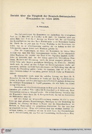 3: Bericht über die Tätigkeit der Römisch-Germanischen Kommission im Jahre 1096