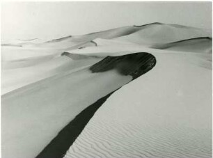 Dünen bei Quargla : Dünen in der algerischen Sahara nahe der Stadt Quargla.