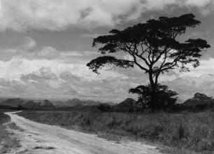 Rhodesien, heute Simbabwe, Südafrika, aus der Serie 'Die Welt des Tabaks'