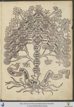 Arbor consanguinitatis.