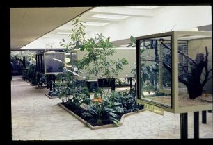 Zoo Neues Vogelhaus 2.3.63.