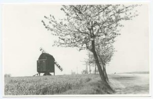 Bockwindmühle Zeuckritz