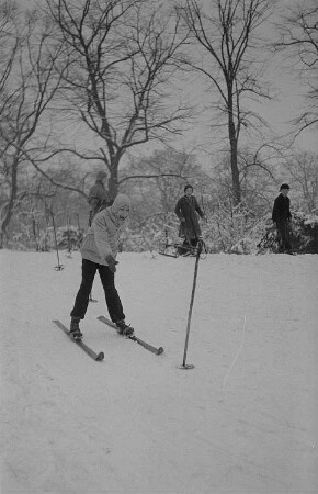 Kinder beim Ski- und Schlittenfahren, Junge auf Skiern bei der Abfahrt, im Hintergrund drei Jungen mit Schlitten