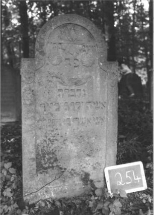 Grabstein 254 (Index: 99894664) Material: Sandstein Zustand: leicht verwittert Maße HxBxT: 111x58x9 cm Beschreibung: Stele mit eingezogenem Rundbogenabschluss Symbolik: Blüte, Rosetten, Girlande, Schuppenmuster: Grabstein 254