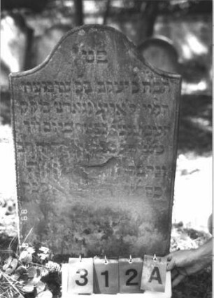 Grabstein 312 (Index: 99609949) Material: Sandstein Zustand: stark verwittert, teilweise Textverlust Maße HxBxT: 94x52x8 cm Beschreibung: Stele, Konvexbogenabschluß, Schriftfeld eingetieft: Grabstein 312A
