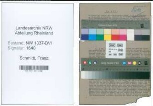 Entnazifizierung Franz Schmidt , geb. 18.11.1880 (Betriebsdirektor)