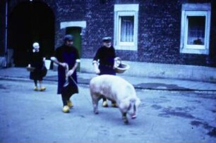Hausschlachtung (Schwein)