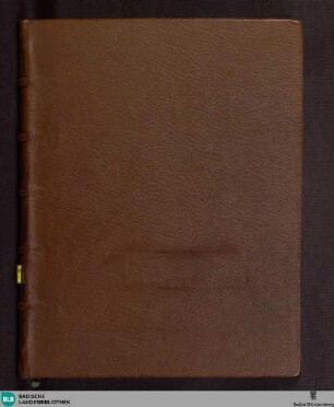 Institutiones mathematicae - Cod. St. Blasien 67