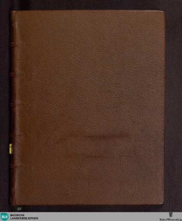 Institutiones mathematicae - Cod. St. Blasien 67