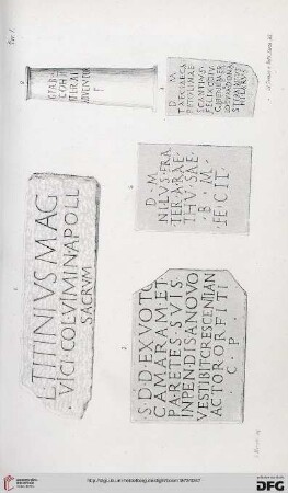 Tavola I - VI