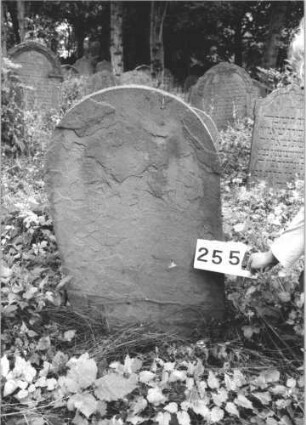 Grabstein 255