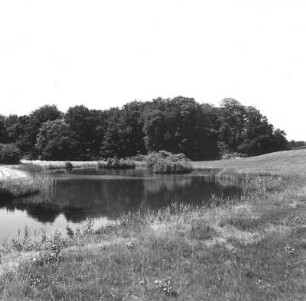 Cottbus. Branitzer Park (1846-1871; H. v. Pückler-Muskau). Schlangensee. Blick nach Westen gegen Baumgruppe und Erhebung zur Landpyramide