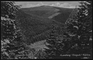 Auersberg. Blick zum Auersberg