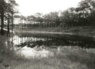 Oberlausitzer Heide. "Schwarzer Gieser" (Jesor) südwestlich Zeißholz (wassergefüllte, geschlossene Hohlform im Bereich gestauchter Braunkohlenflöze)