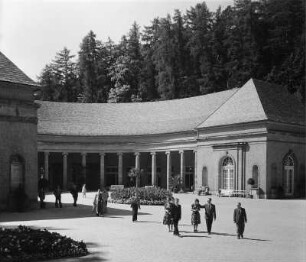 Bad Wildungen. Kurpark (1865 und 1905). Wandelhalle