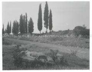 Campagna bei Rom - An der Via Appia