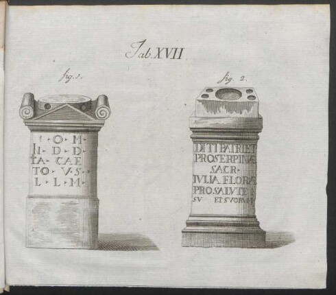 Tab. XVII.