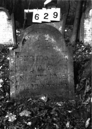 Grabstein 629