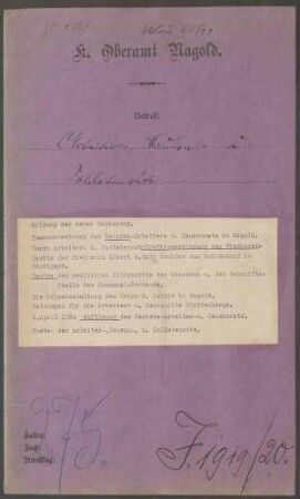 Arbeiterräte, Bauernräte und Soldatenräte