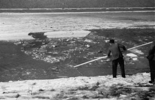 Zugefrorener Elsterflusslauf : Ein Mann mit einer Stange beim Abfischen von durch Eissprengungen getöteten Fischen am zugefrorenen Elsterflusslauf.
