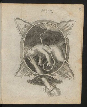 No. 12.