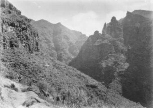 Barranco del Infierno : Im Barranco del Infierno, einem ausgetrocknetem Flusslauf