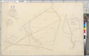 Marbeck (Borken), Gemeinheit Wirthe, Wirther Feld, Lage, Tushaus Heide, Bodarbsche Heide, Teilung der Butenwirther Mark, Bl.8 Brouillonkarte Flur X Tushaus