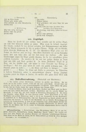 Nicht eßbare Pilze