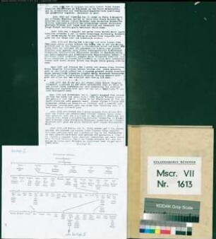 Familienchronik des Johan Wedemhove, Wandschneider und Ratsherr zu Münster