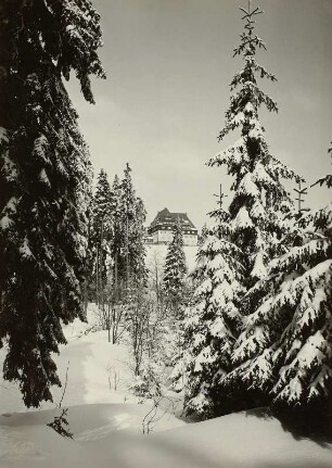 Altenberg, Blick zum Berghof Raupennest, Winteraufnahme