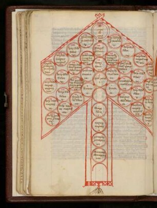 Schema arboris consanguinitatis
