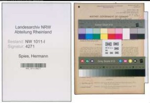 Entnazifizierung Hermann Spies , geb. 08.09.1890 (Einzelhaendler)