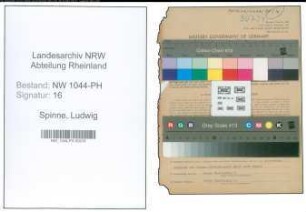 Entnazifizierung Ludwig Spinne , geb. 20.04.1910 (Arzt)