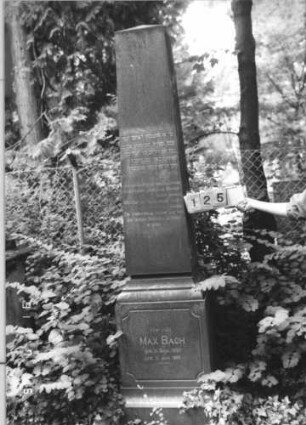 Grabstein 125 [Hahn S. 36 Grab-Nr. 80]