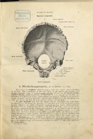 Handatlas der Anatomie des Menschen, 1