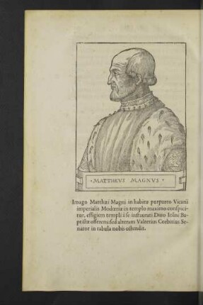 Mattheus Magnus.