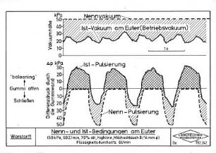 Nenn- und Ist-Bedingungen am Euter