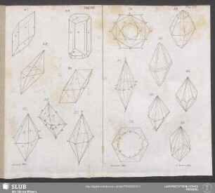 Taf. VII - Taf. VIII