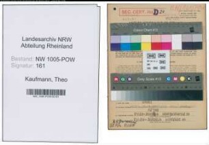 Entnazifizierung Theo Kaufmann , geb. 10.10.1910 (Bergmann)
