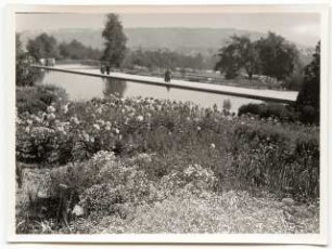 Deutsche Gartenschau 1950 auf dem Killesberg, Stuttgart: Wasserbecken