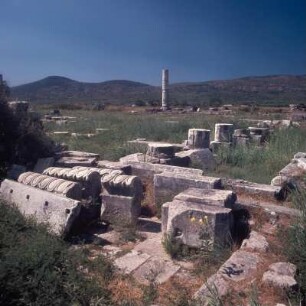 Samos. Heraion. Blick vom Rhoikos-Altar zur Kolónna. Sm74. E70