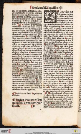 Tratcatus de vanitate huius seculi