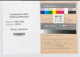 Entnazifizierung Johannes Strunk, geb. 09.04.1909 (Steuerberater)