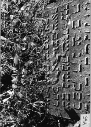 Grabstein 39 (Index: 99796345) Material: Sandstein Zustand: unten abgeblättert mit Textverlust Maße HxBxT: 78x47x11 cm Beschreibung: Stele, schräg eingezogener Rundbogenabschluß mit Verdachung Symbolik: Blüte: Grabstein 39A